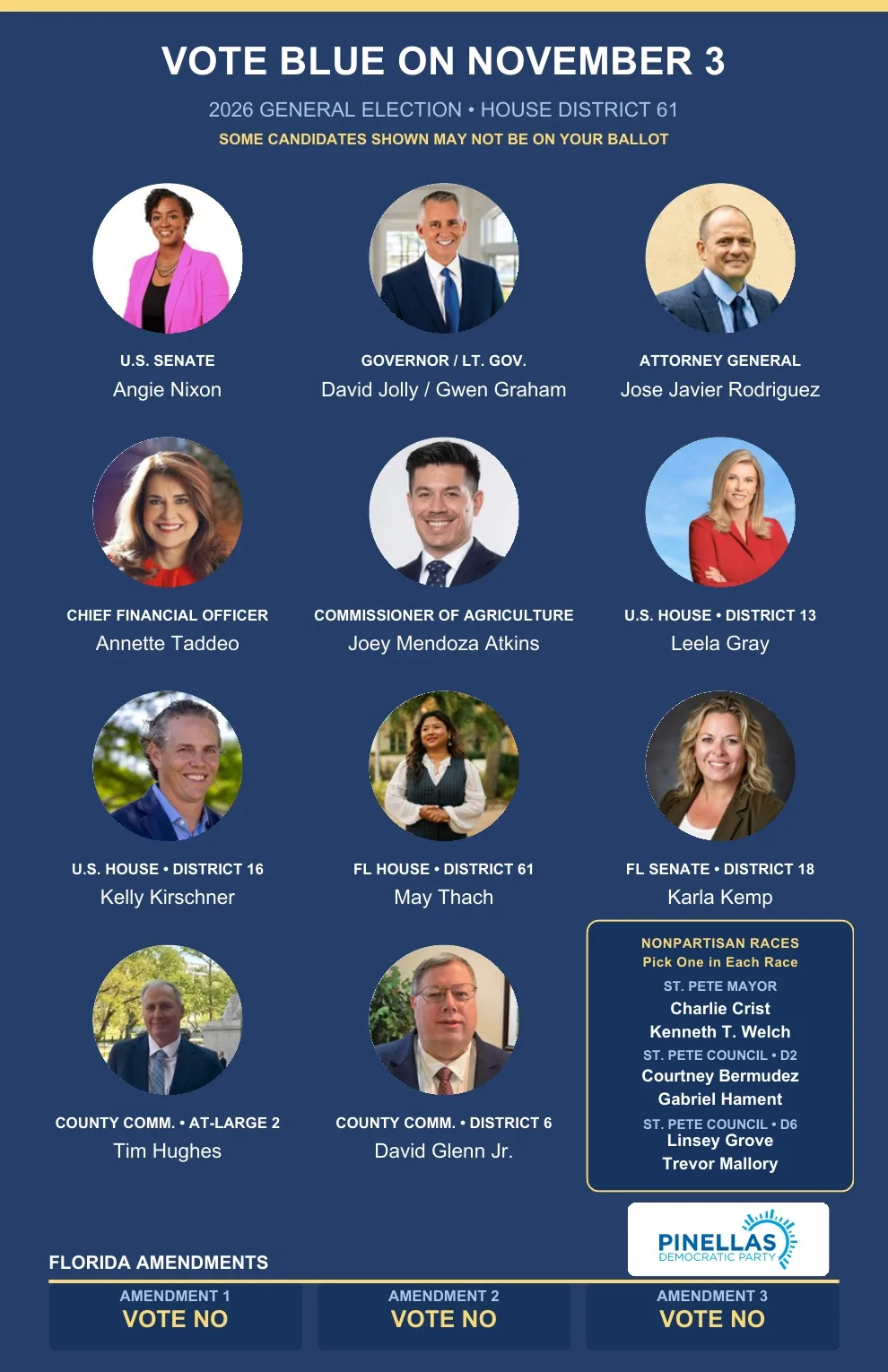 2026 Pinellas County voter guide for House District 61